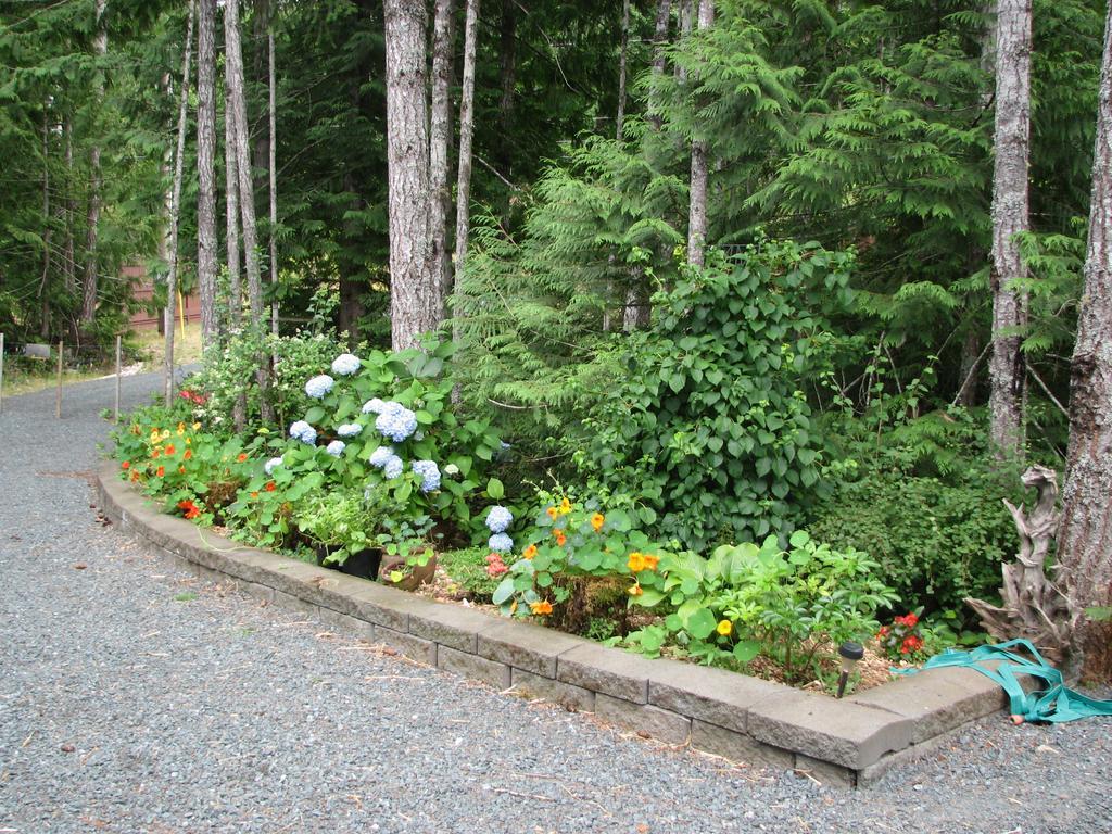 Ashling Cottage Qualicum Beach Buitenkant foto