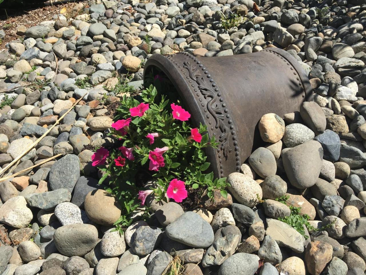 Ashling Cottage Qualicum Beach Buitenkant foto